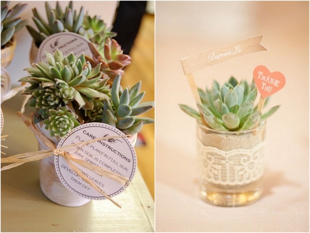 Wedding Trend: 7 Ways to use Succulent Plants in your Decor ... Wedding Trend: 7 Ways to use Succulent Plants in your Decor ...