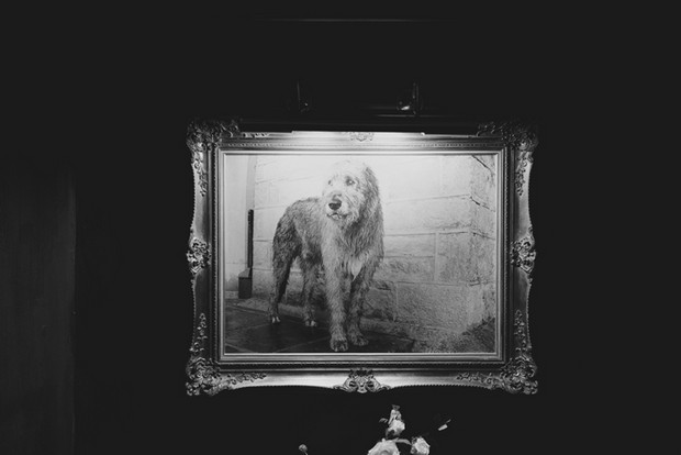 irish wolfhound castle wedding