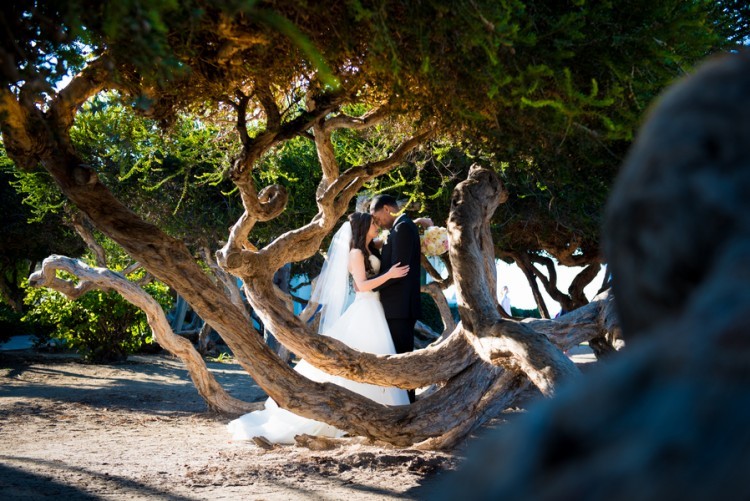 Sophisticated Californian wedding by ABM Wedding Photography