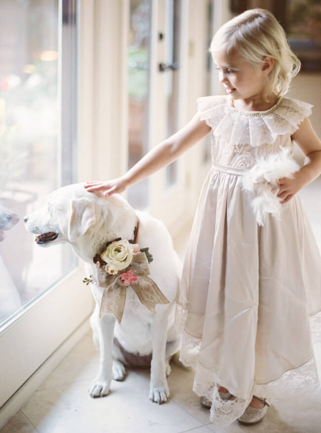 dog-flower-girl-wedding-photo